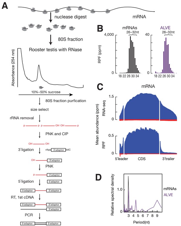 Figures and data in Domestic chickens activate a piRNA defense against ...