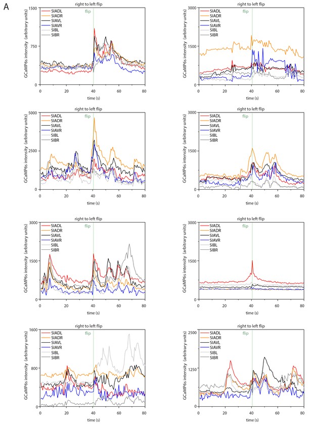 Figures and data in Analysis of the NK2 homeobox gene ceh-24 reveals ...