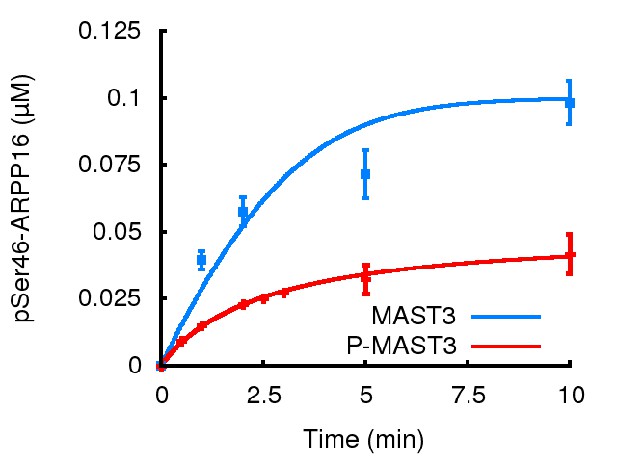 Figures And Data In Reciprocal Regulation Of Arpp By Pka And Mast