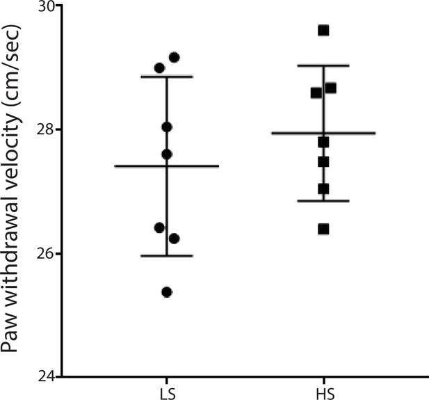 Figures and data in Chronic pain induces generalized enhancement of ...