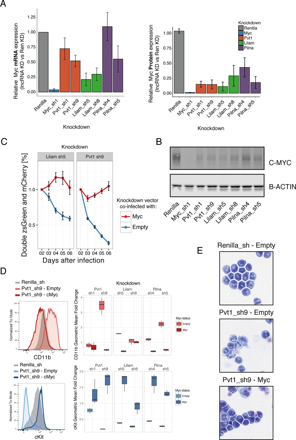 lncRNA requirements for mouse acute myeloid leukemia and normal ...