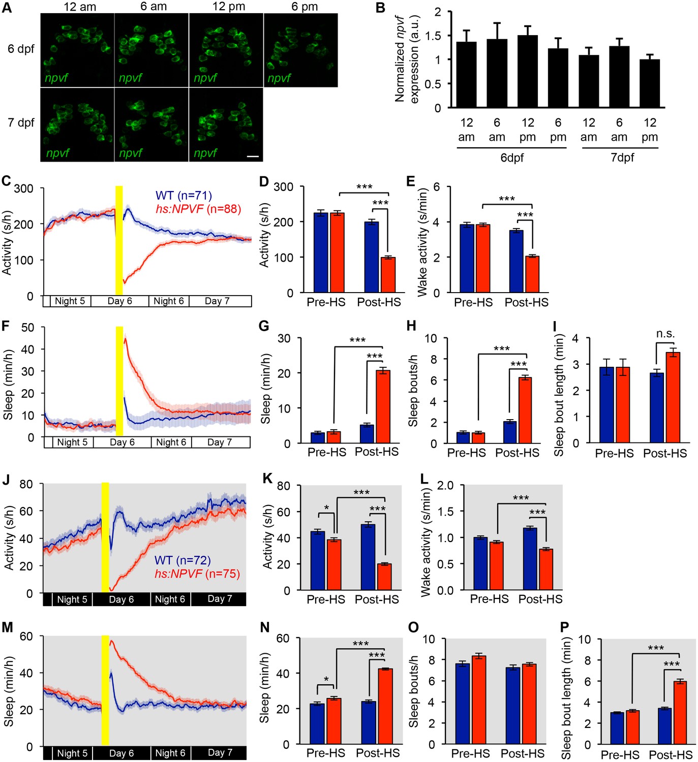 Figures and data in Genetic and neuronal regulation of sleep by ...