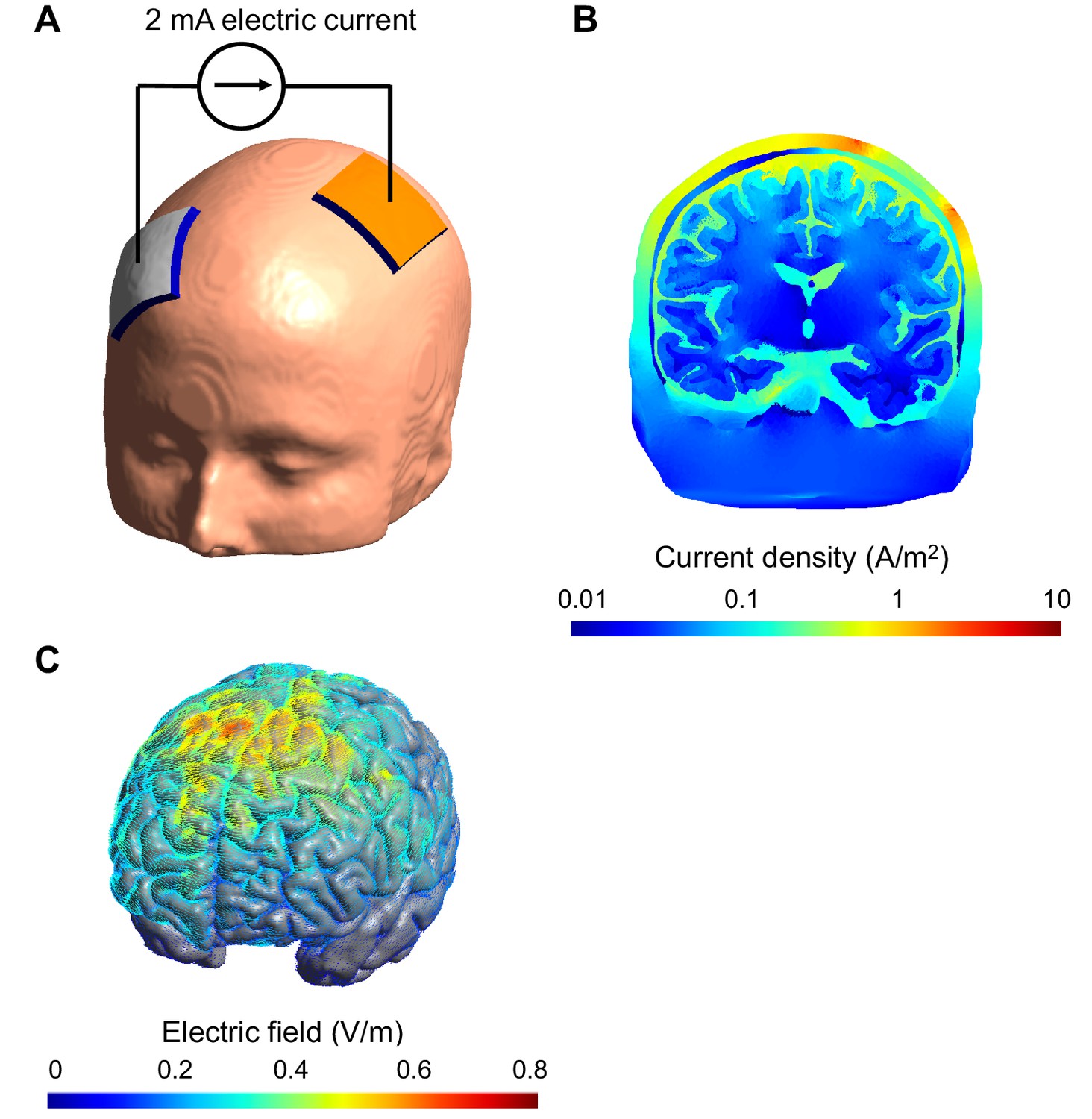 Neuromodulation: Transcranial electric stimulation seen from
