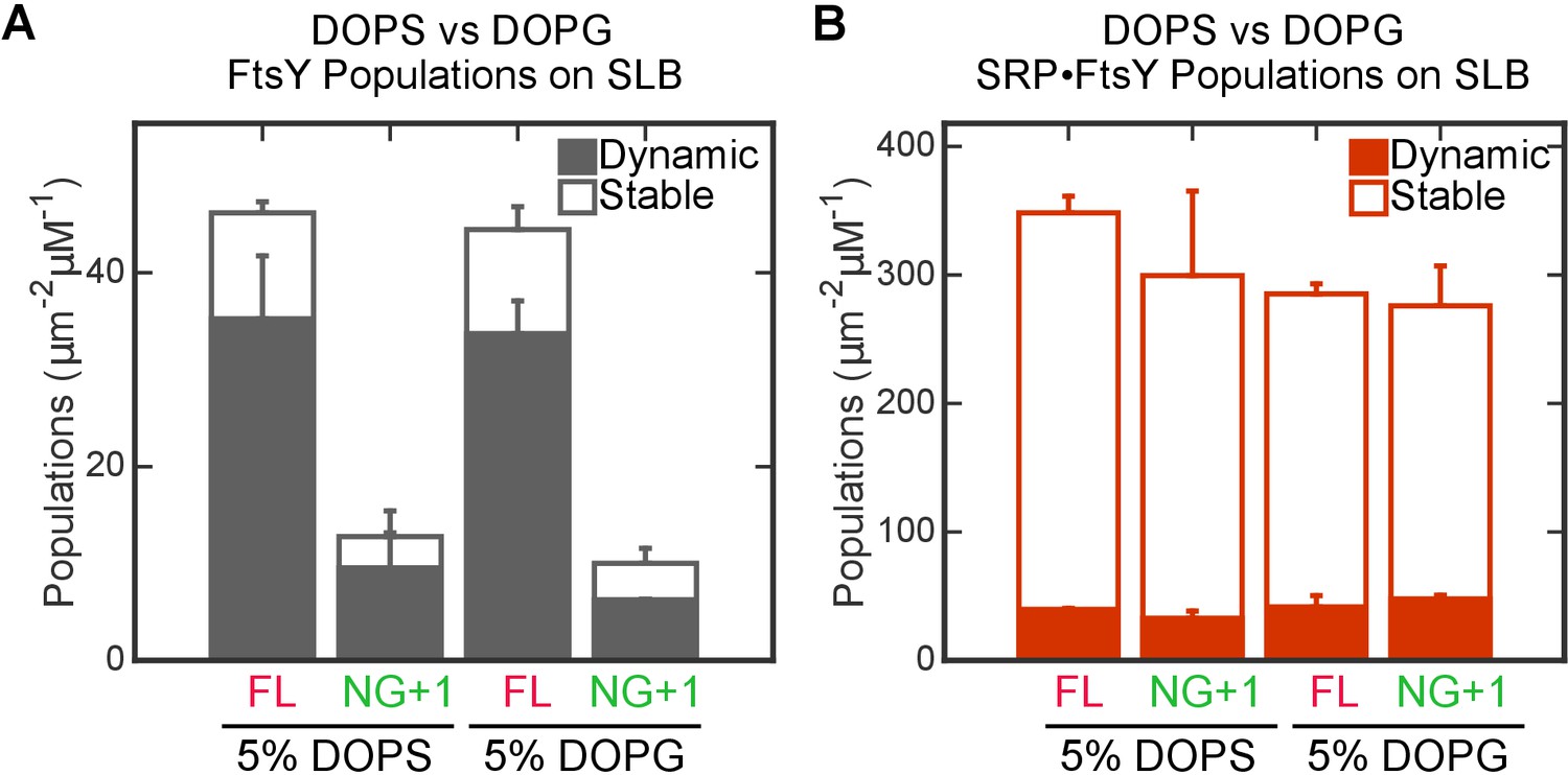 Figures And Data In Two-step Membrane Binding By The Bacterial SRP ...