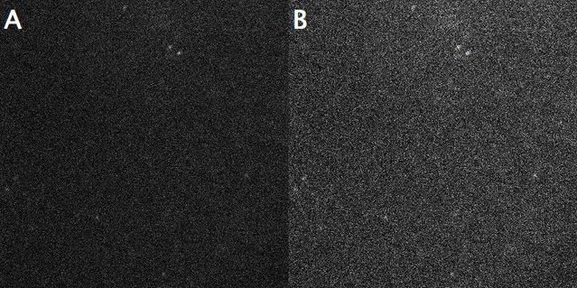 Figures And Data In Two Step Membrane Binding By The Bacterial Srp