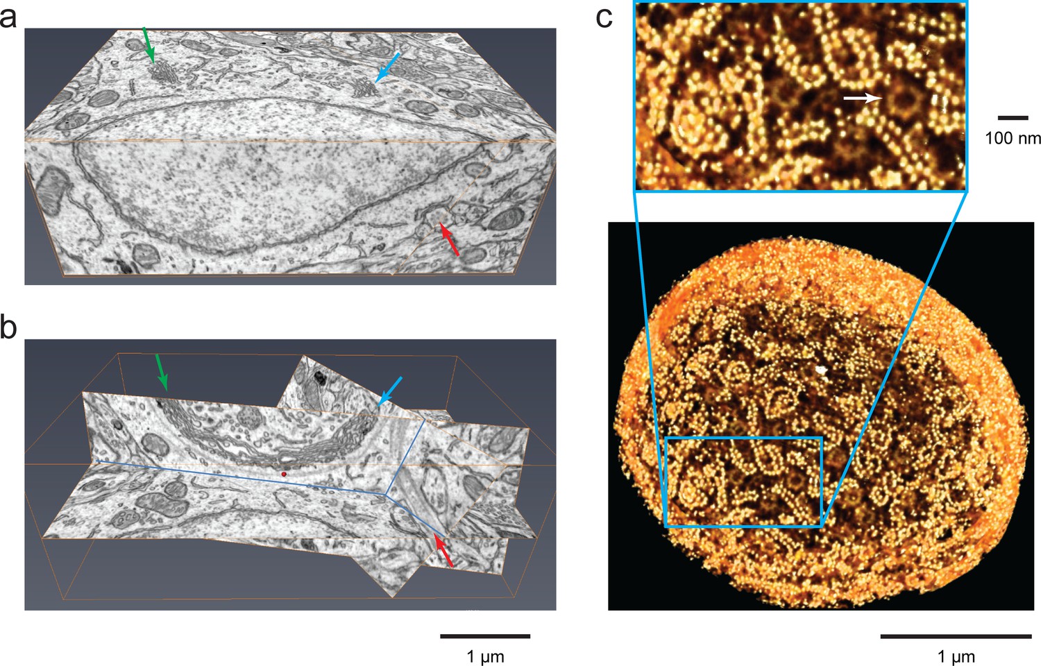 Figures And Data In Enhanced FIB-SEM Systems For Large-volume 3D ...