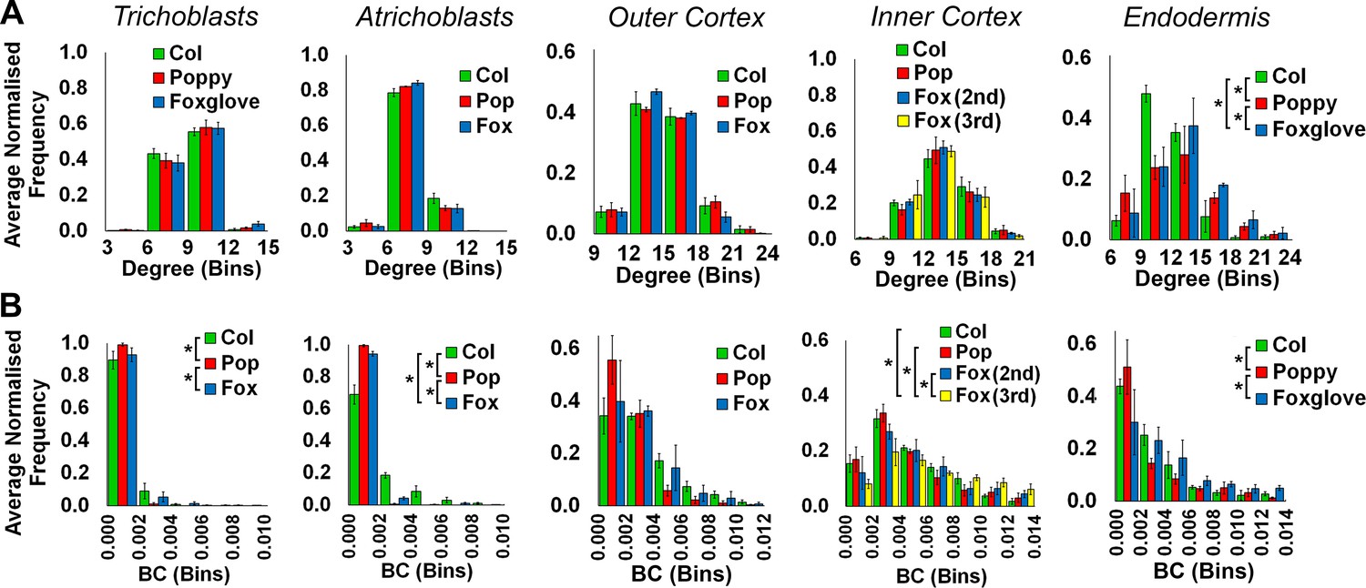 Figures and data in Topological analysis of multicellular complexity in ...