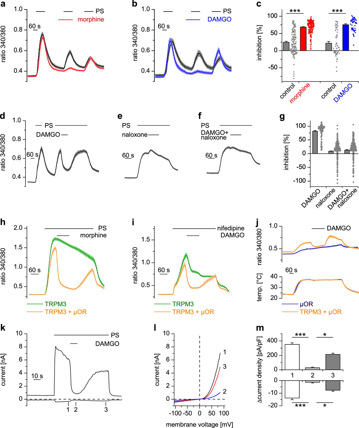 Anti Nociceptive Action Of Peripheral Mu Opioid Receptors By G Beta Gamma Protein Mediated Inhibition Of Trpm3 Channels Elife