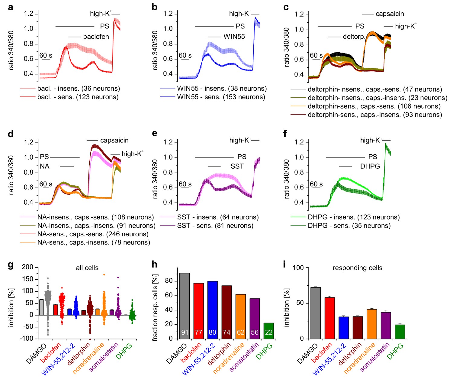 Anti Nociceptive Action Of Peripheral Mu Opioid Receptors By G Beta Gamma Protein Mediated Inhibition Of Trpm3 Channels Elife