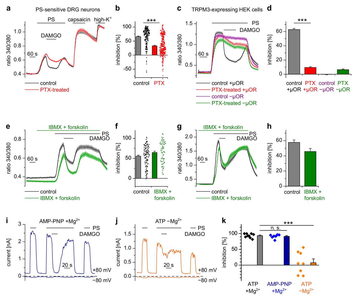 Anti Nociceptive Action Of Peripheral Mu Opioid Receptors By G Beta Gamma Protein Mediated Inhibition Of Trpm3 Channels Elife