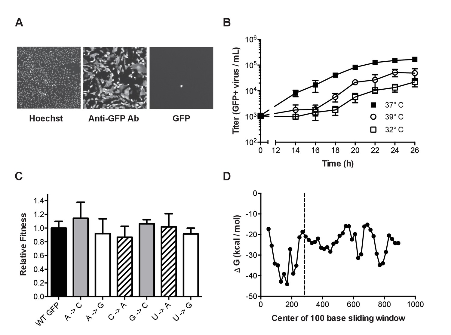 A Novel Twelve Class Fluctuation Test Reveals Higher Than Expected Mutation Rates For Influenza A Viruses Elife