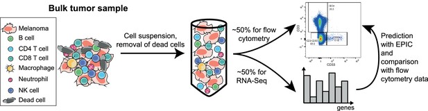 Figures and data in Simultaneous enumeration of cancer and immune cell ...