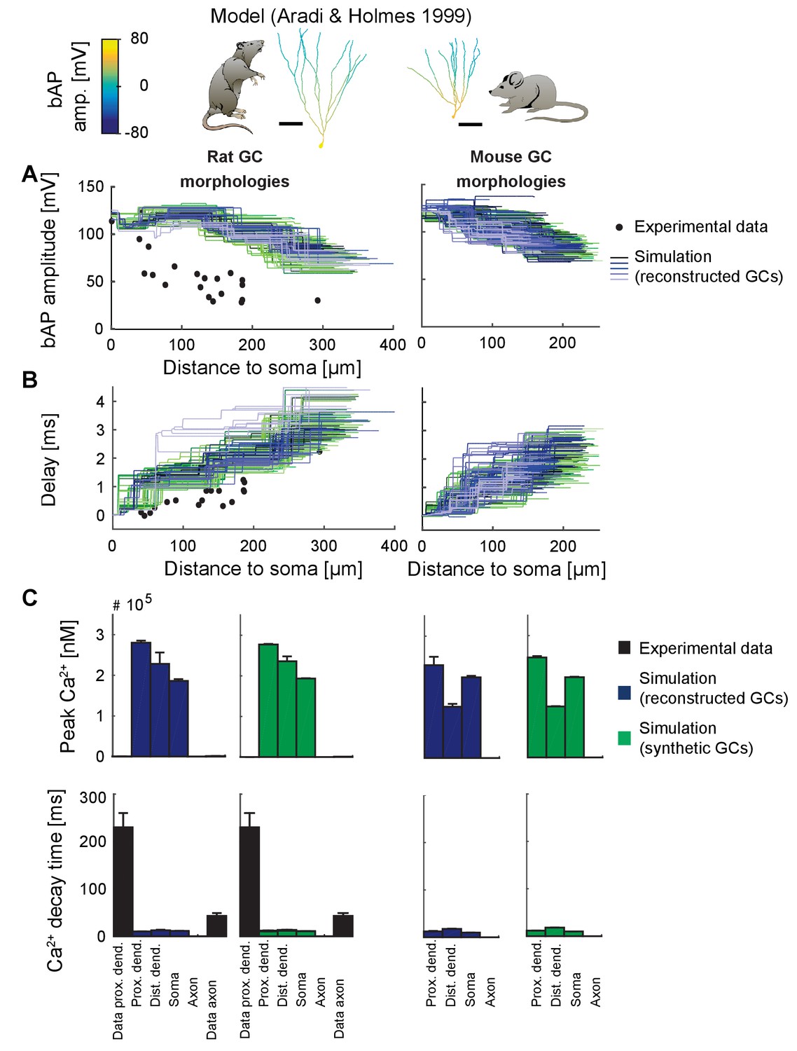 Figures and data in T2N as a new tool for robust electrophysiological ...