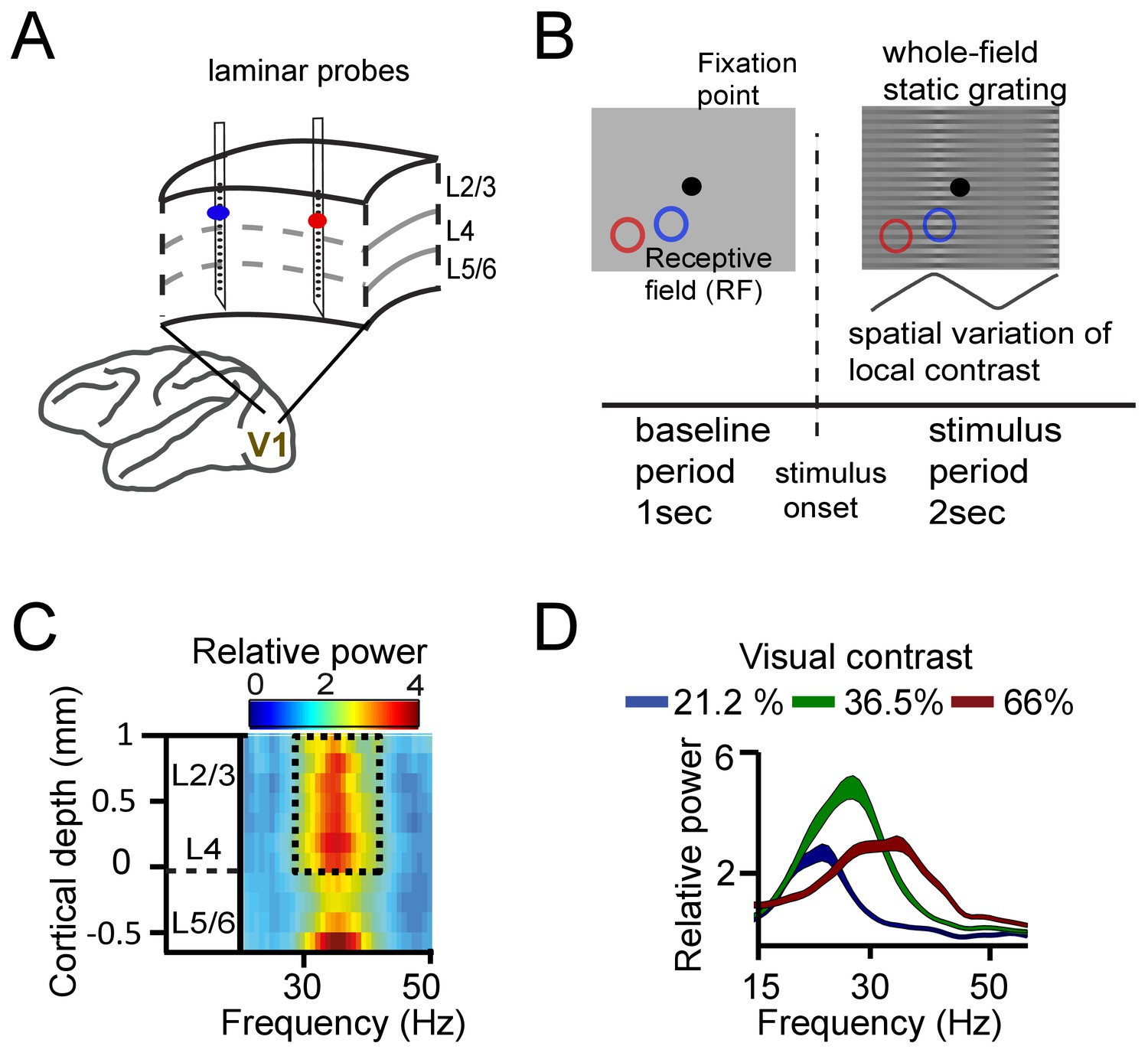 A Quantitative Theory Of Gamma Synchronization In Macaque V1 ELife