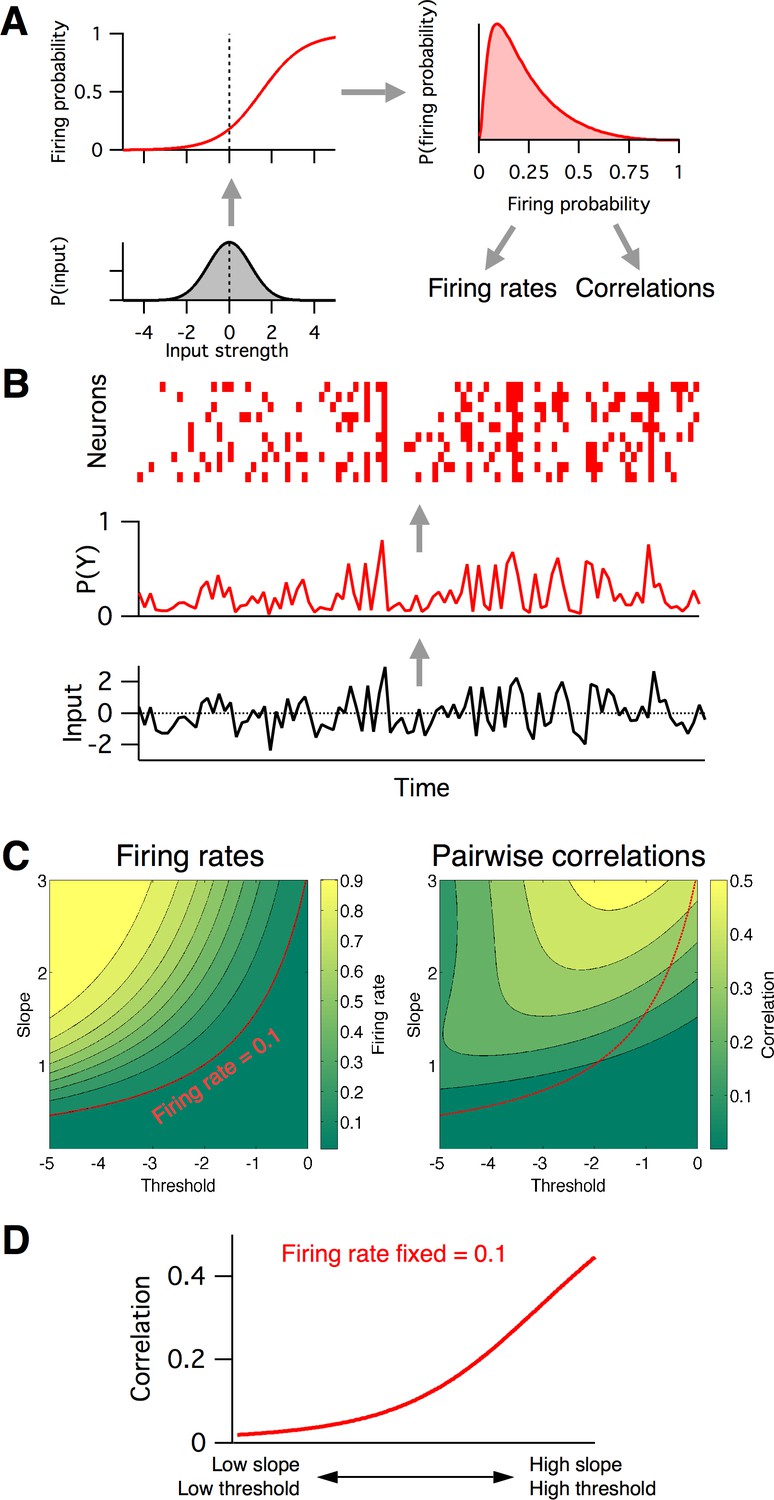 Beyond Excitation/inhibition Imbalance In Multidimensional Models Of ...