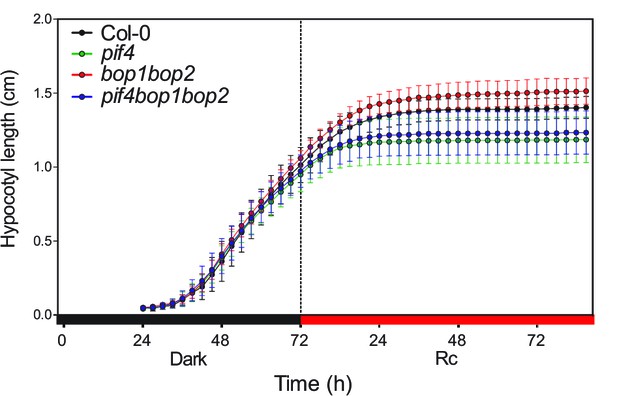 Figures and data in BLADE-ON-PETIOLE proteins act in an E3 ubiquitin ...