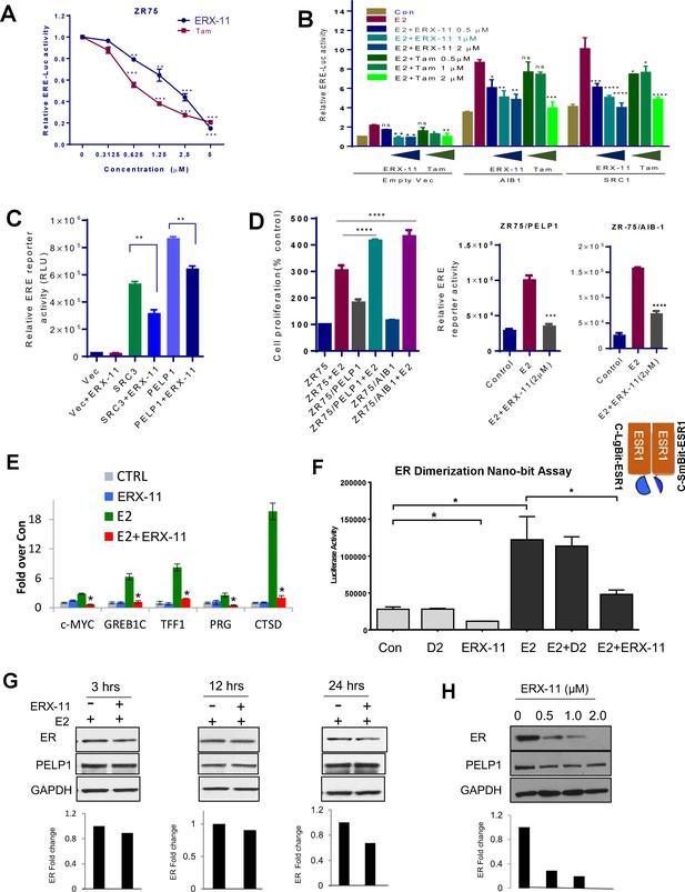 Figures and data in Estrogen receptor coregulator binding modulators ...