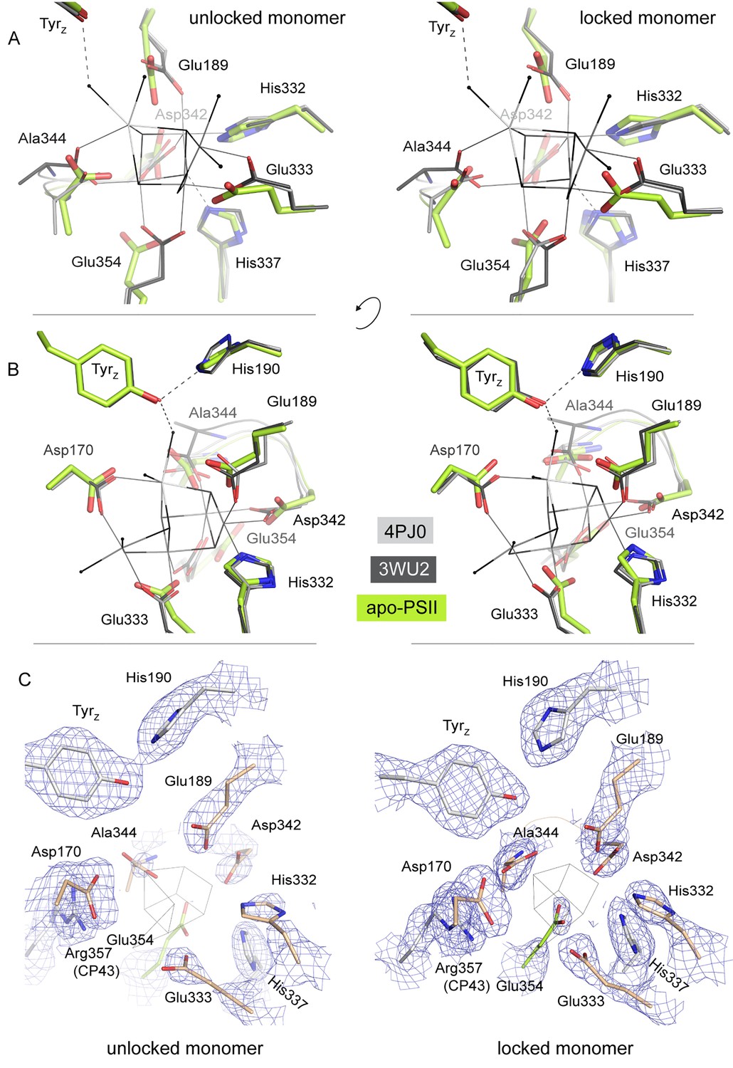 Figures and data in Structural insights into the light-driven auto ...