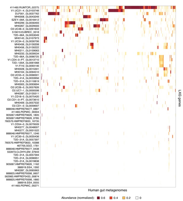 Figure 1 From Antagonism Between Members Of The Cnc Bzip Family And The