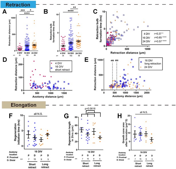 Figures and data in Selective rab11 transport and the intrinsic ...