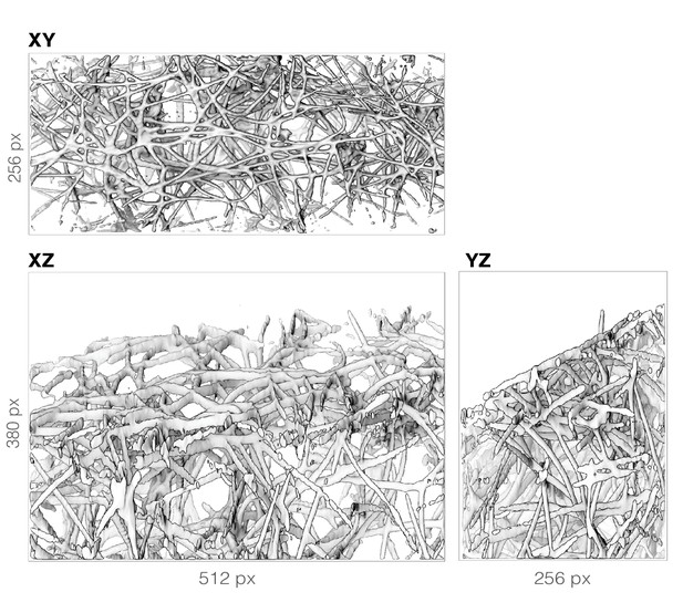 isosurface merge range paraview isosurface merge range paraview