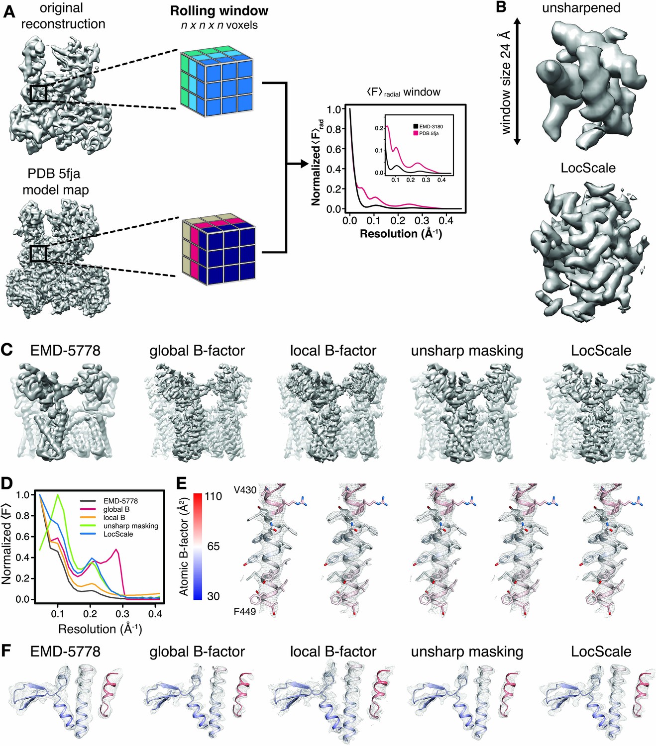 Model-based local density sharpening of cryo-EM maps | eLife