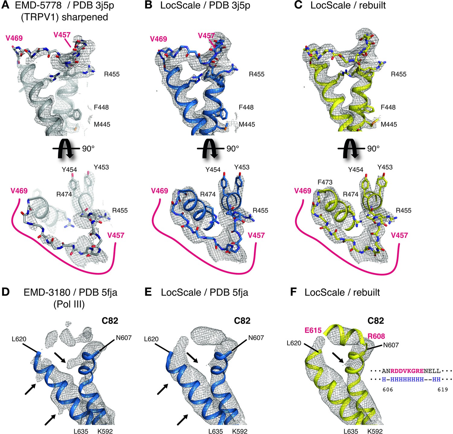 Model Based Local Density Sharpening Of Cryo EM Maps ELife