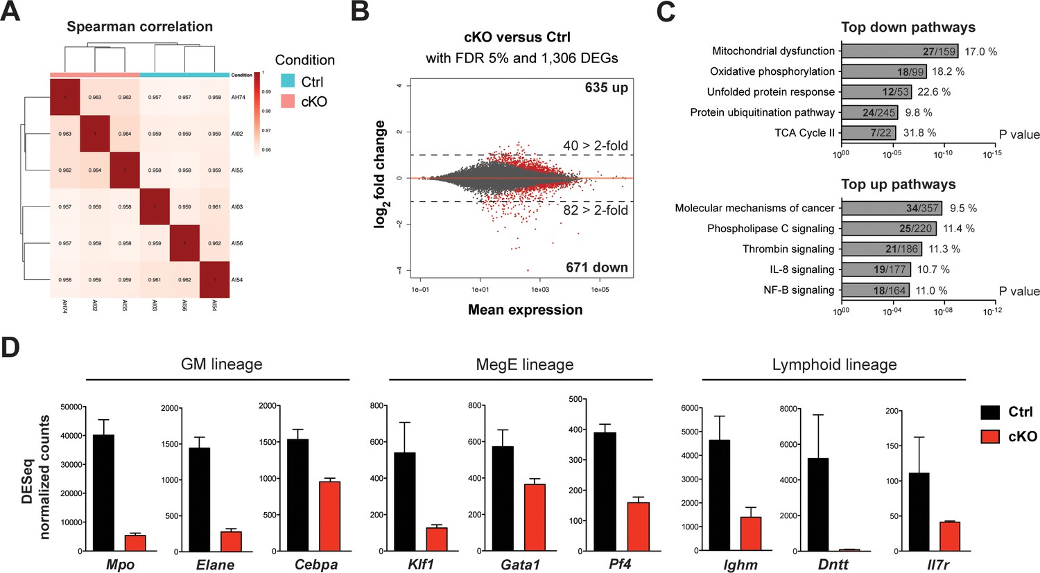 Histone methyltransferases Setd1b increases H3K4me3 level to