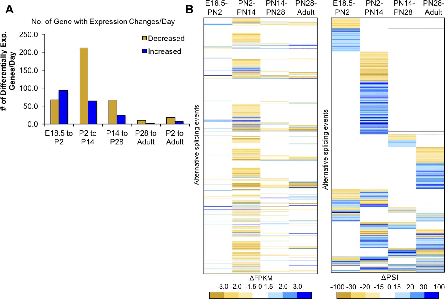 Figures and data in Extensive alternative splicing transitions during ...