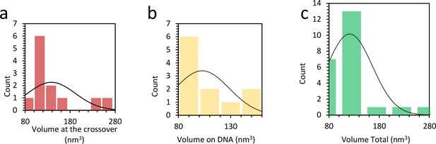 single site mutant protein turnover