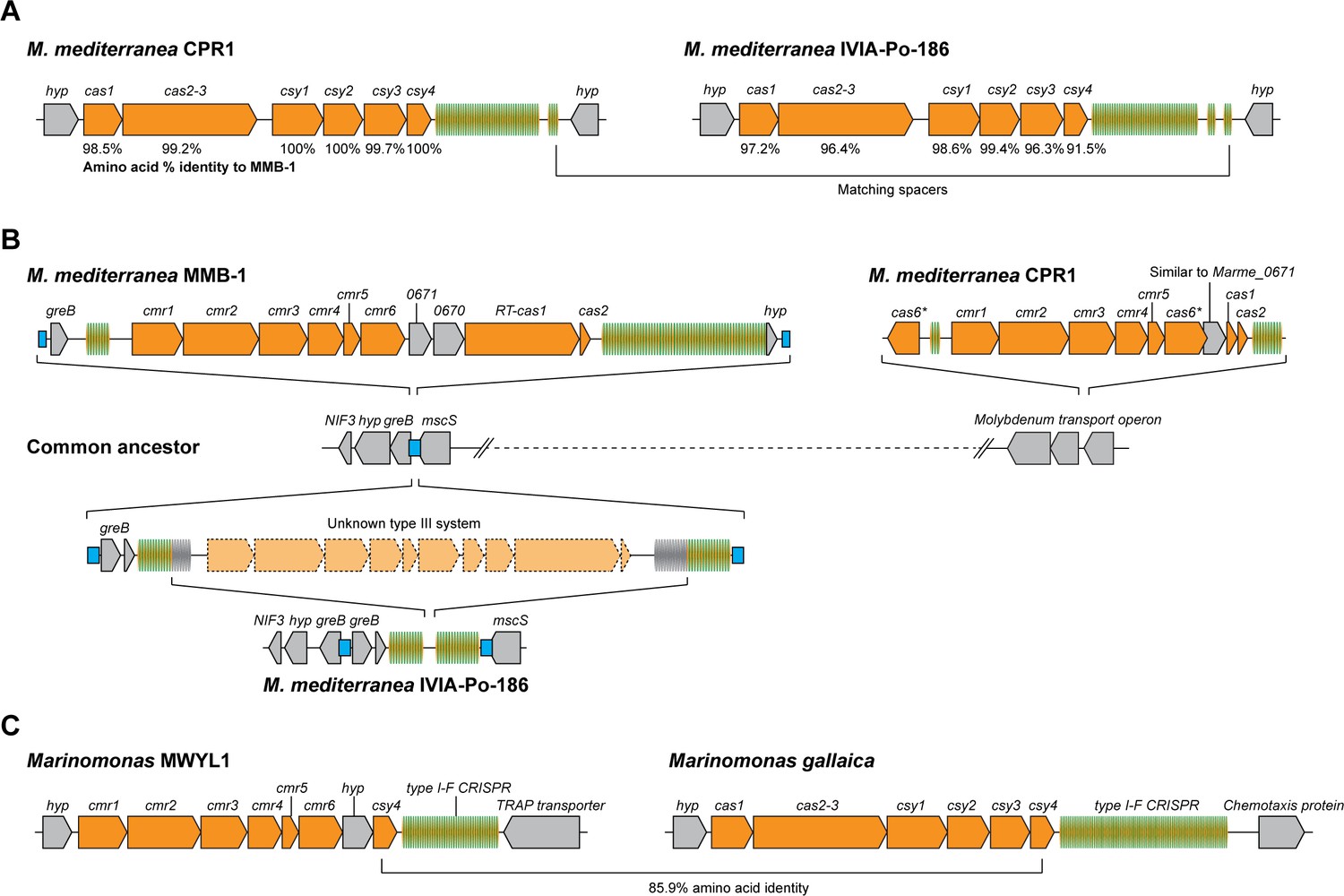 Figures And Data In Type III CRISPR-Cas Systems Can Provide Redundancy ...