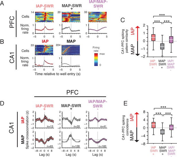 Distinct hippocampal-cortical memory representations for experiences ...