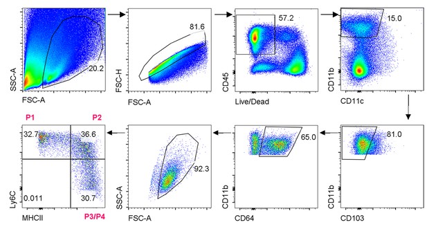 Figures and data in Macrophage dysfunction initiates colitis during ...