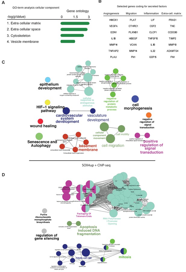 Figures And Data In Global Transcriptional Analysis Identifies A Novel ...