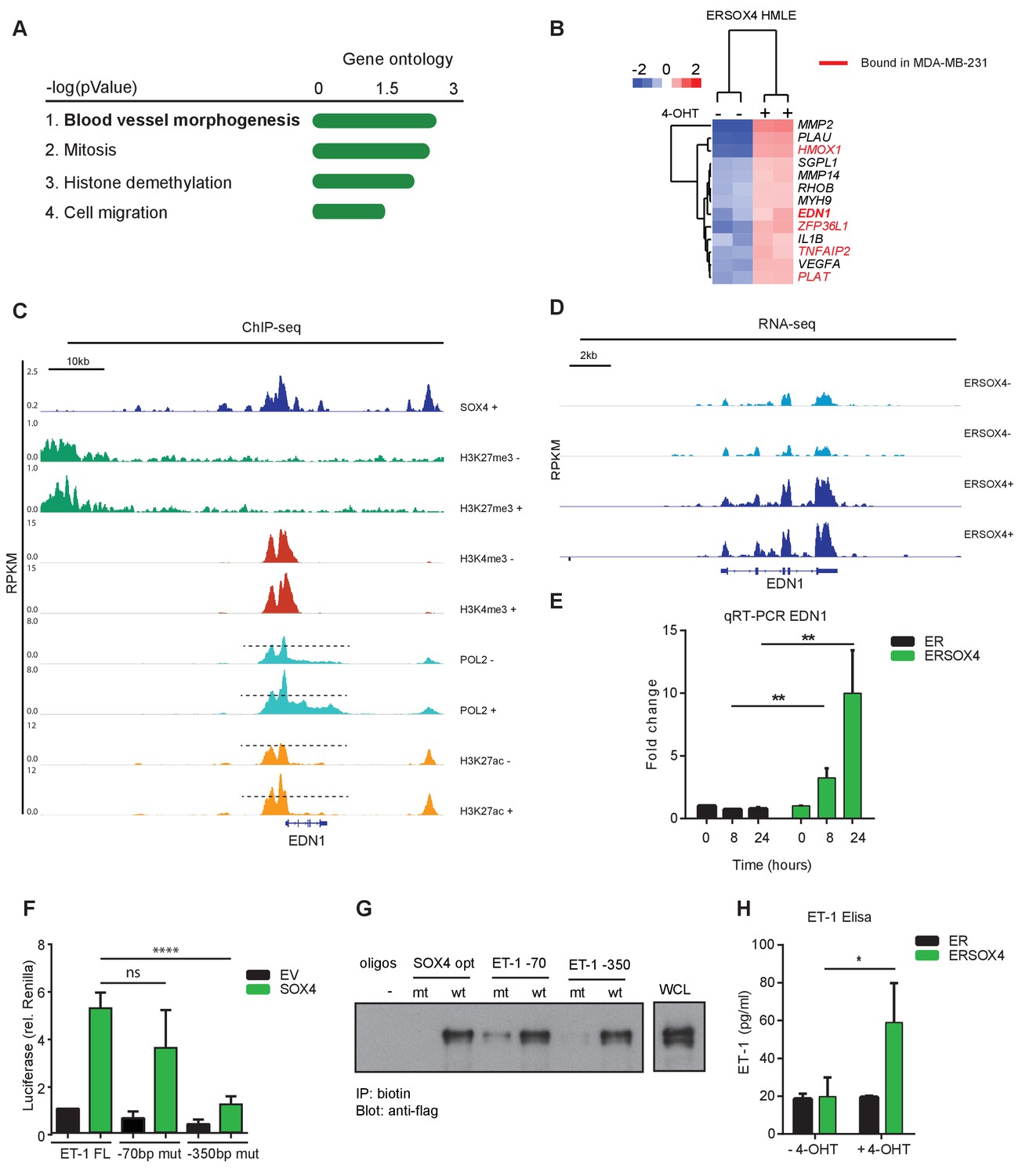 Global Transcriptional Analysis Identifies A Novel Role For SOX4 In ...