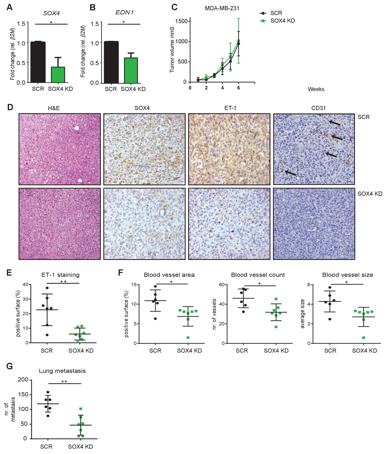 Global Transcriptional Analysis Identifies A Novel Role For SOX4 In ...