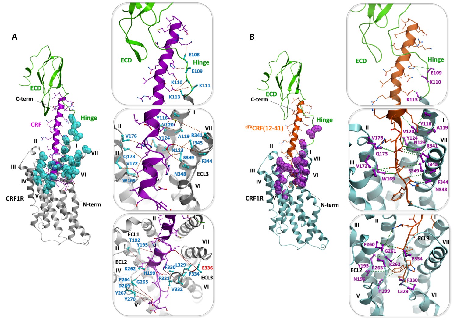 Figures And Data In Structural Insight Into The Activation Of A Class B ...