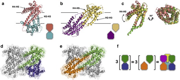 Figures and data in Structure-based analysis of CysZ-mediated cellular ...