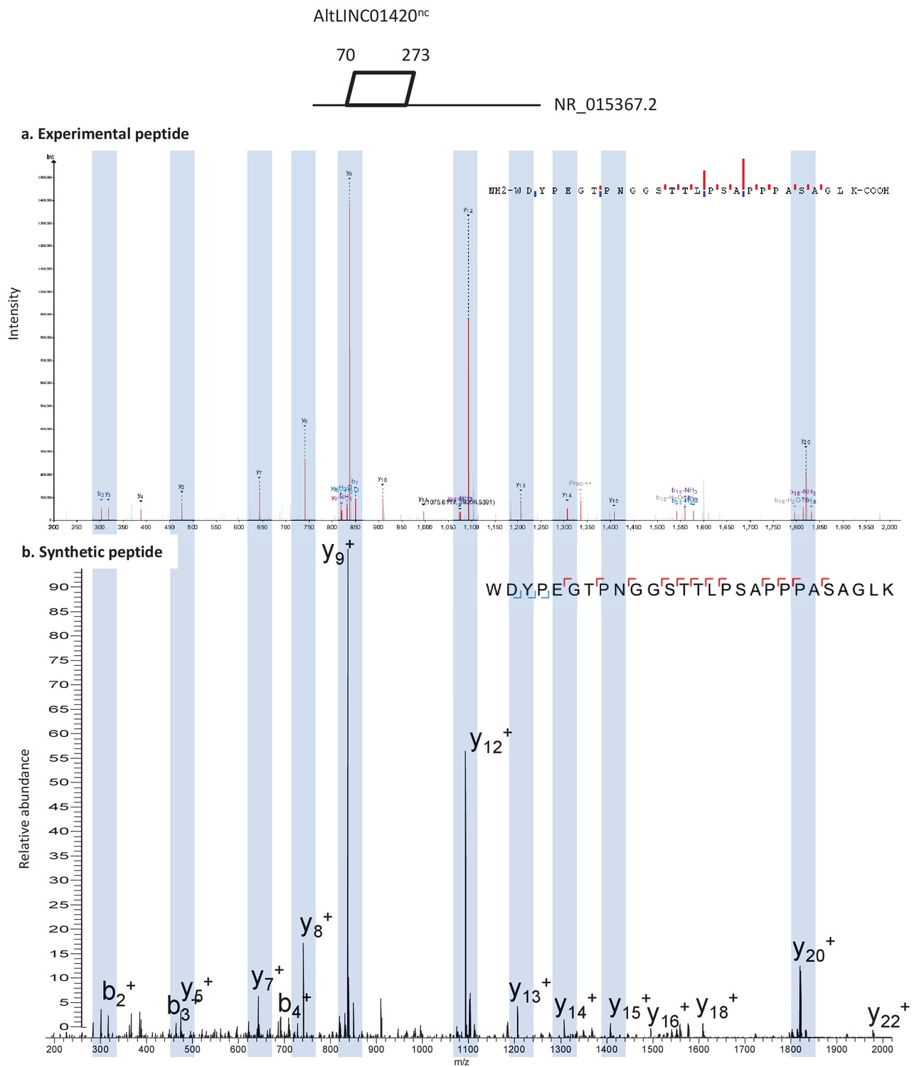 peptideshaker download