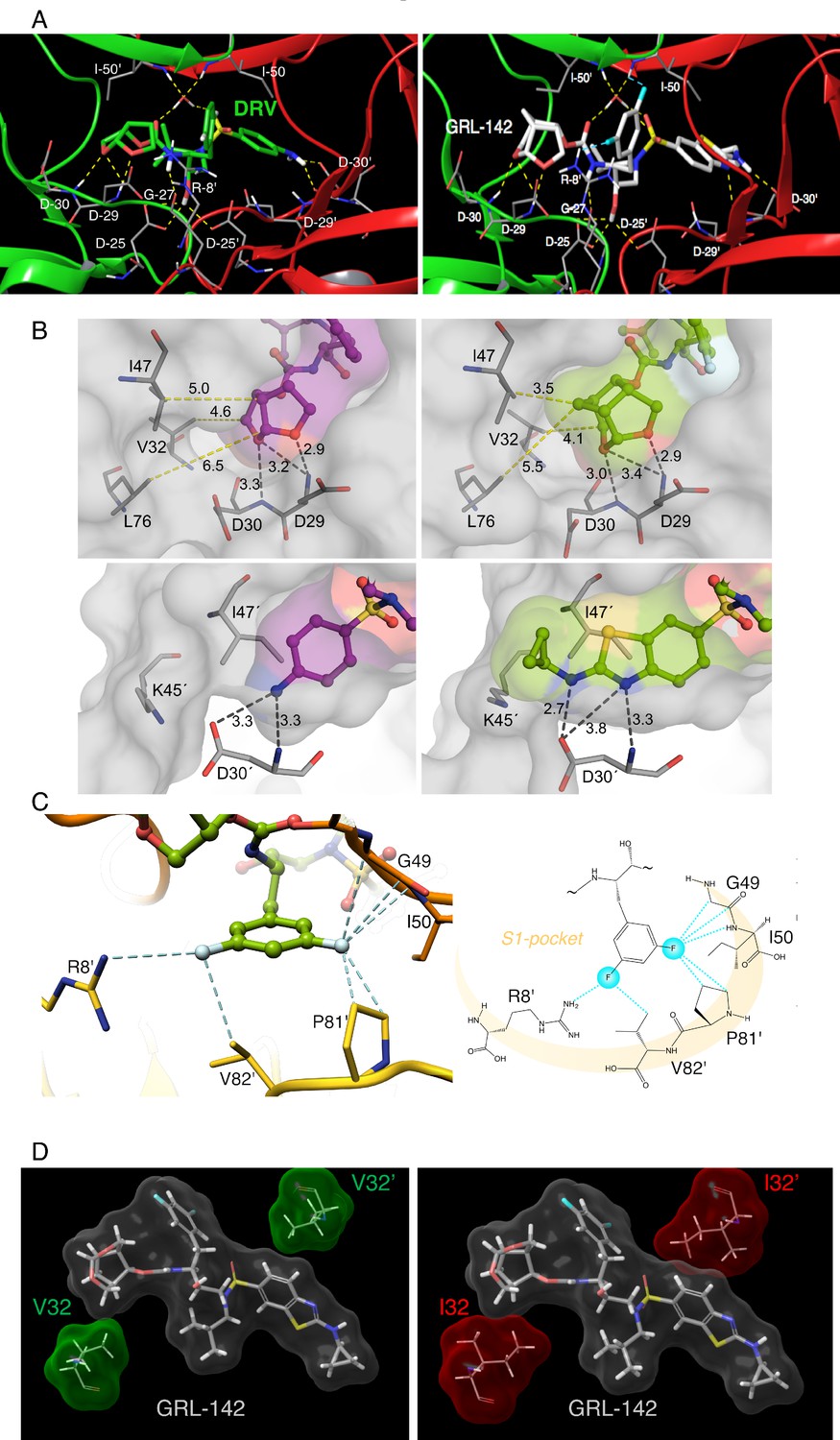 Protease Inhibitor Tube Arup - Goimages Pro