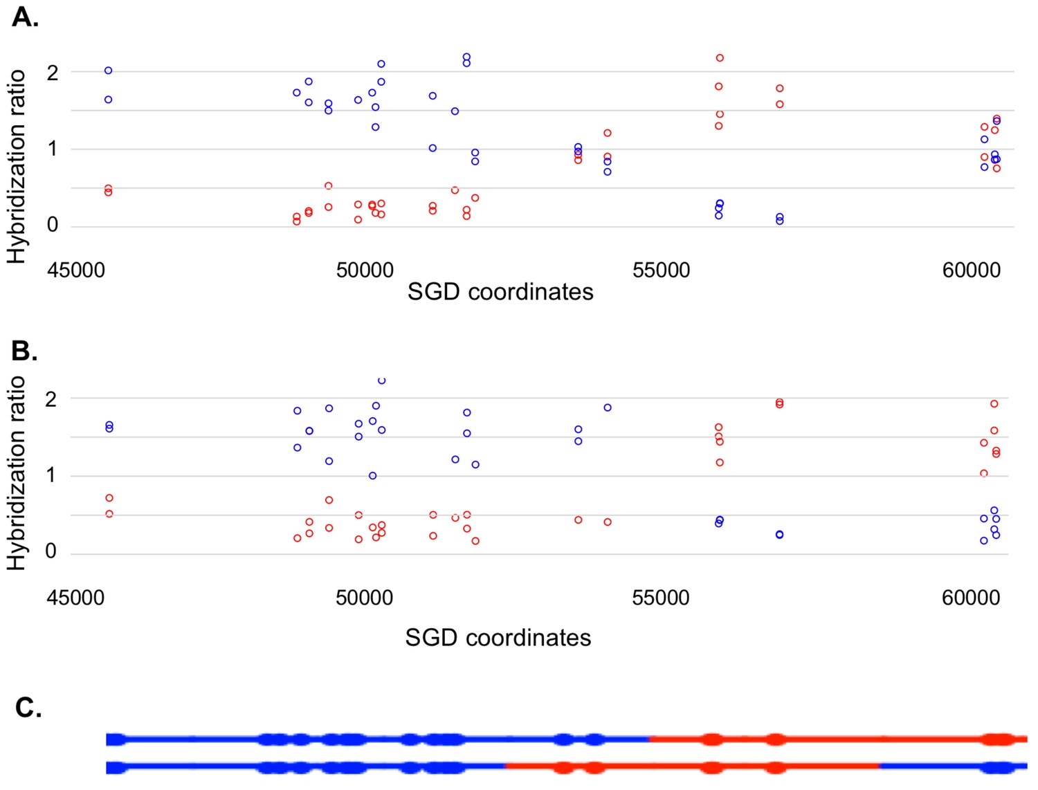 resolution mapping of heteroduplex DNA formed during UV Biology Diagrams