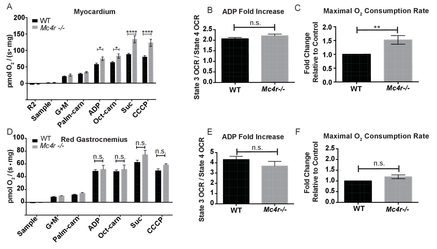 Transgenic Mice Expressing Green Fluorescent Protein under the Control of  the Melanocortin-4 Receptor Promoter