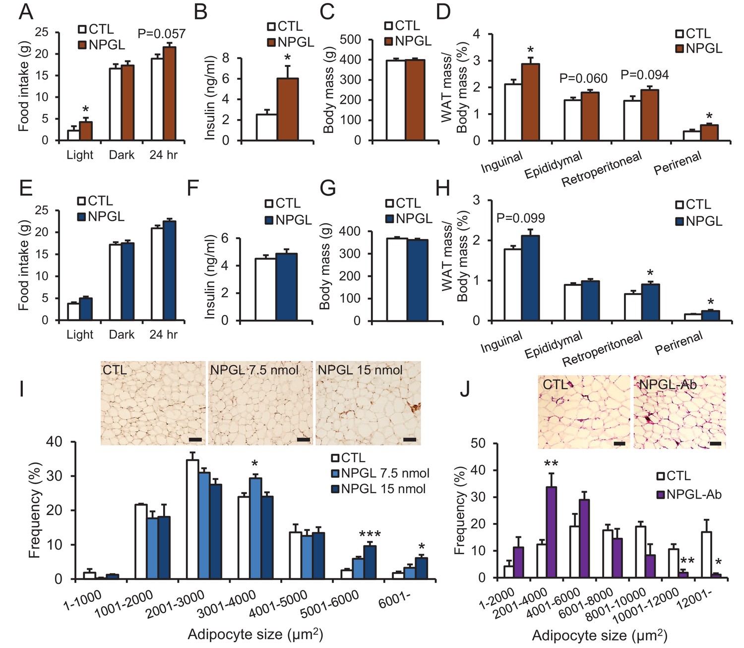 Neurosecretory protein GL stimulates food intake, de novo lipogenesis ...