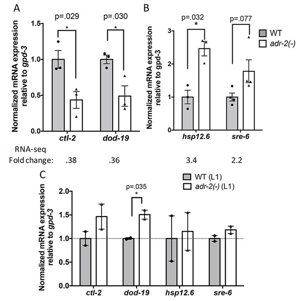 The C. elegans neural editome reveals an ADAR target mRNA required for ...