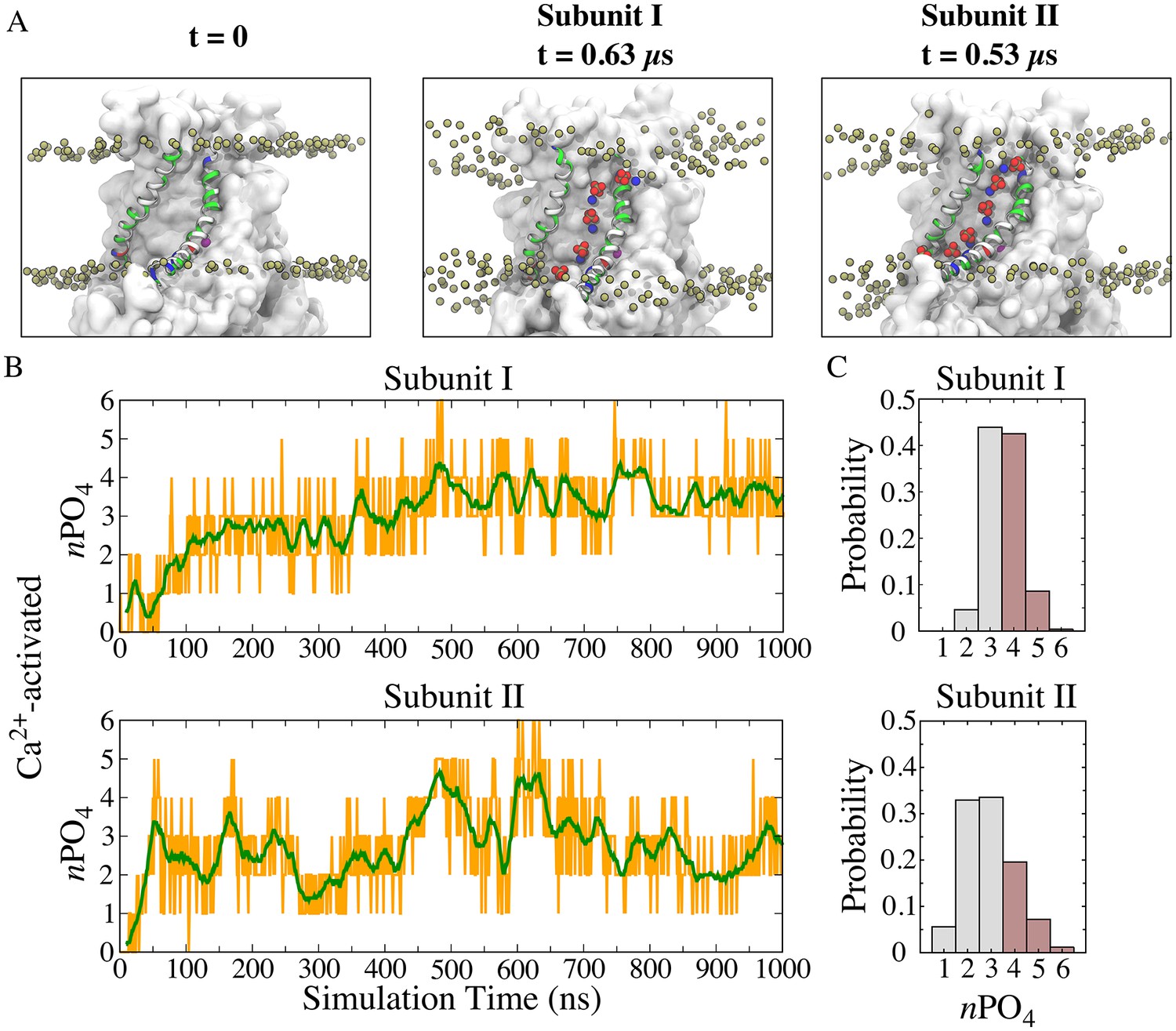 Figures and data in Lipids and ions traverse the membrane by the same ...