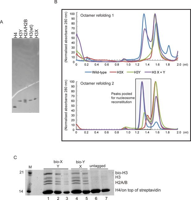 Figures and data in A synthetic biology approach to probing nucleosome ...