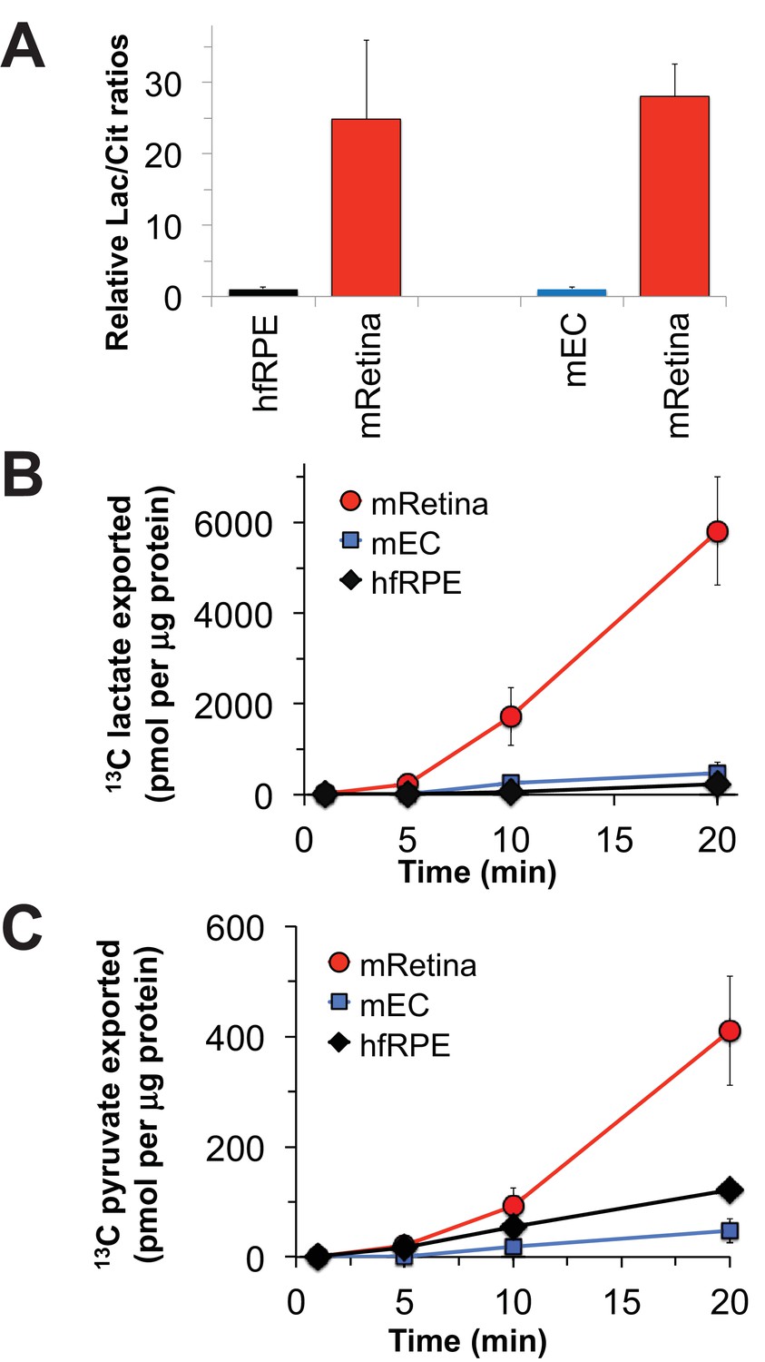 Biochemical adaptations of the retina and retinal pigment