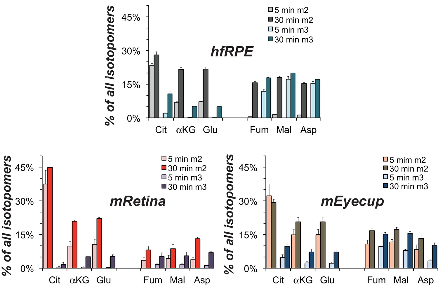 Biochemical adaptations of the retina and retinal pigment