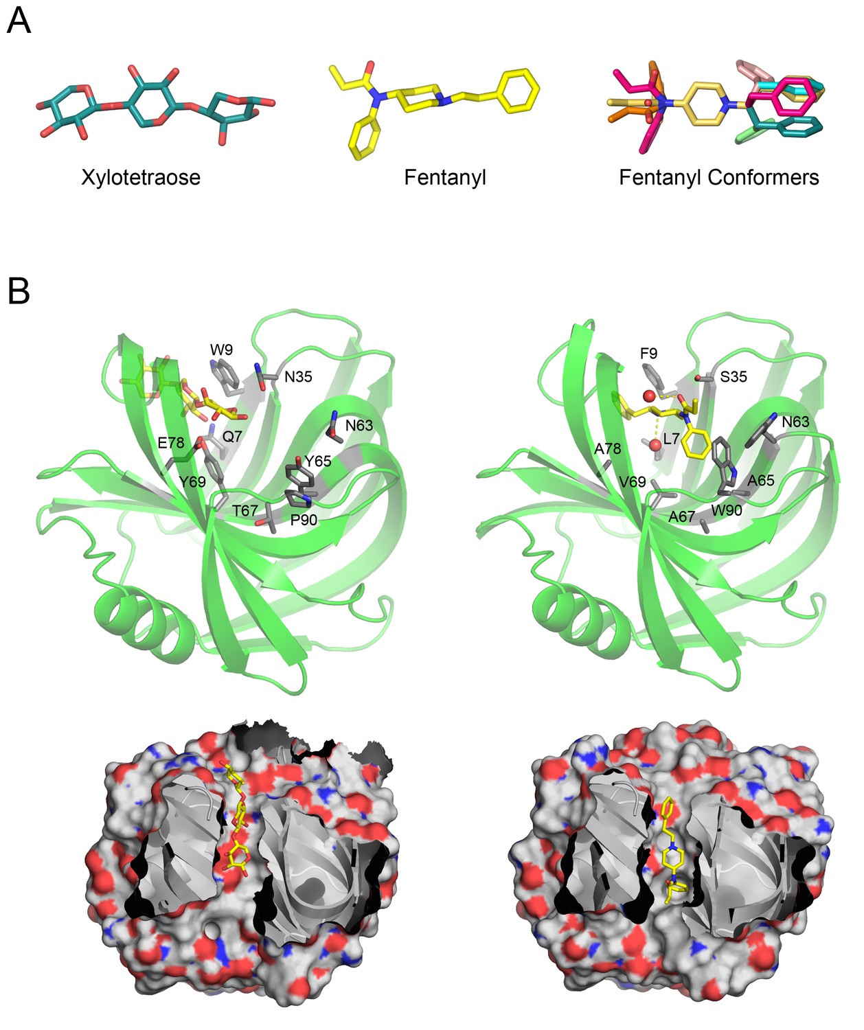 Computer Aided Drug Discovery Product Image