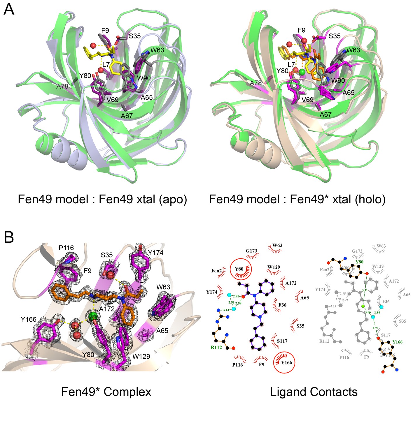 Computational Design Of Environmental Sensors For The Potent Opioid Fentanyl Elife